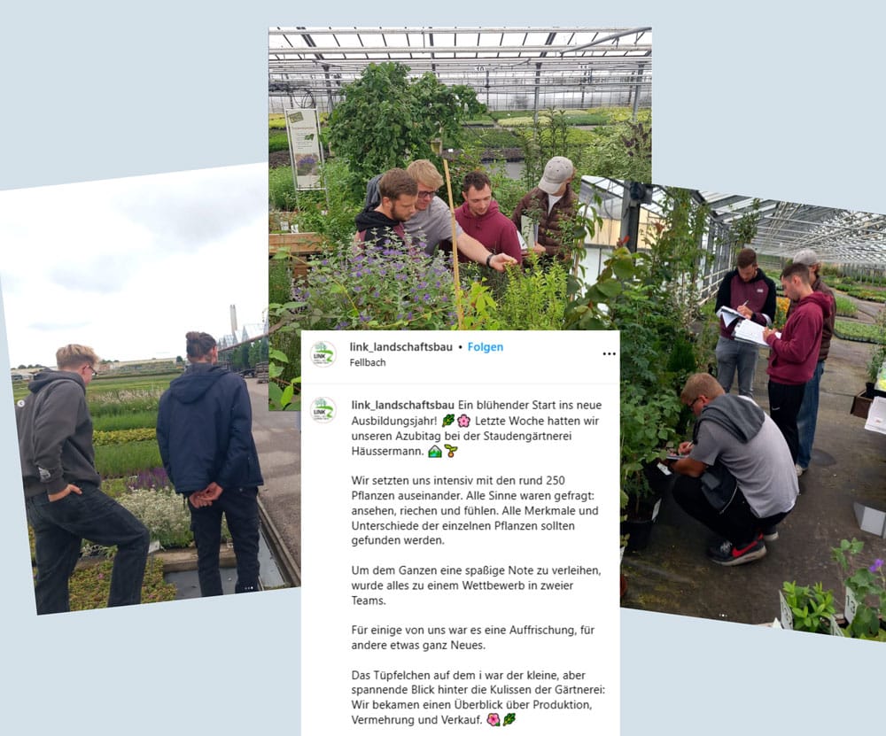 Instagram Format: Feed Post